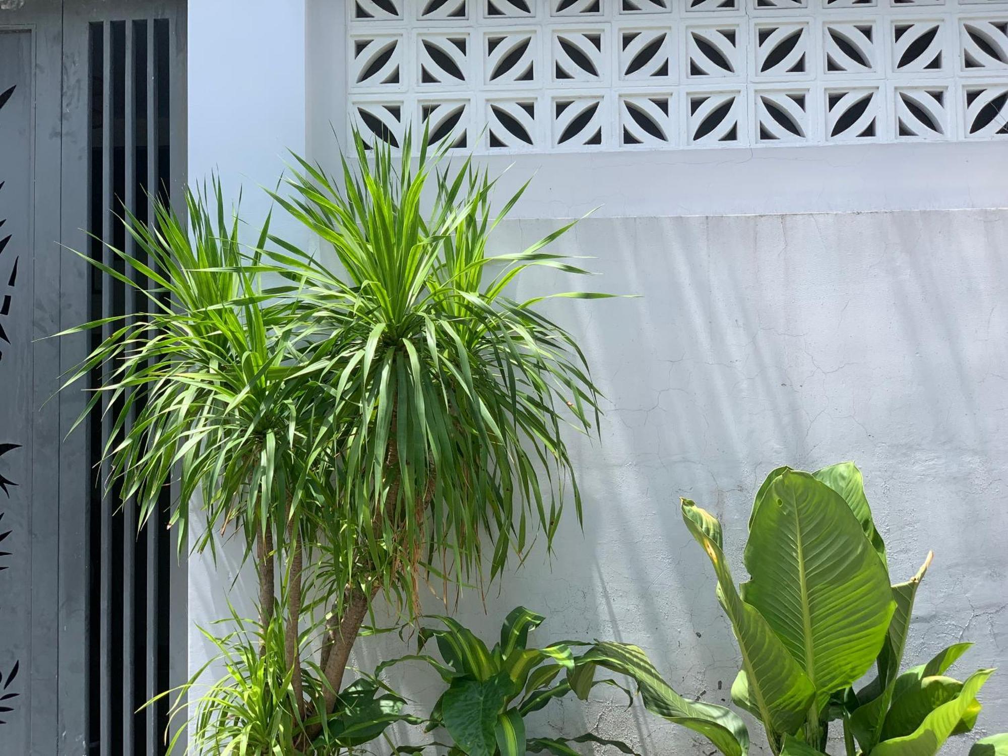 Tina House Apartment Đà Nẵng Exterior foto